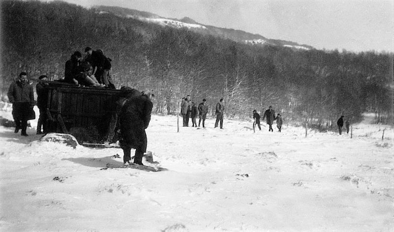 Premier lâcher de cervidés (cervis) dans la neige (nèu), au Devez, 1958