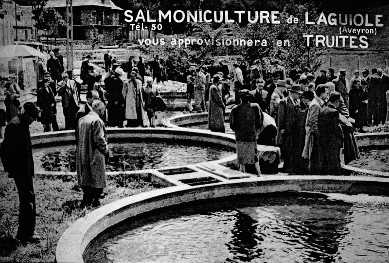 Salmoniculture de Laguiole (Aveyron) vous approvisionnera en truites