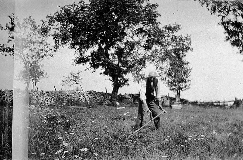  Homme fauchant une prairie (prada, prat), à La Fournetterie, 1935