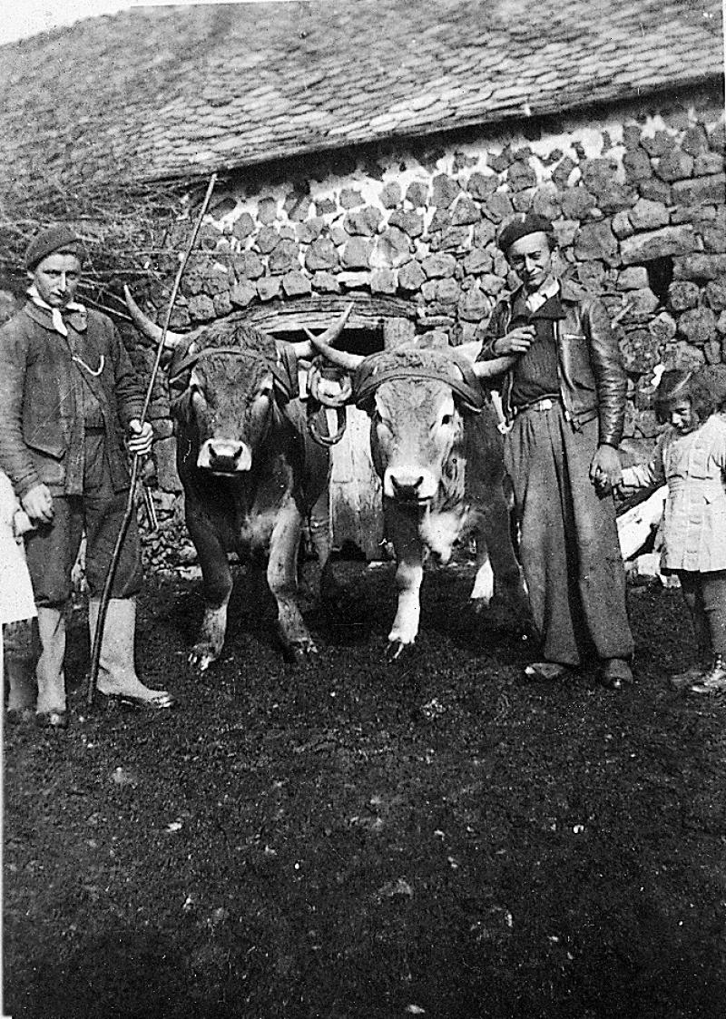 Personnes et paire de bovidés (parelh) devant étable, à La Bessière, années 1930