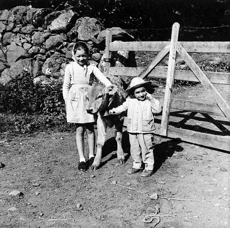 Deux jeunes enfants avec veau (vedèl), au Puech
