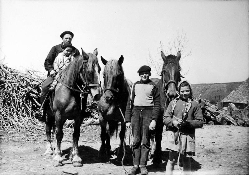 Homme, enfants et trois équidés, au Puech, 1962