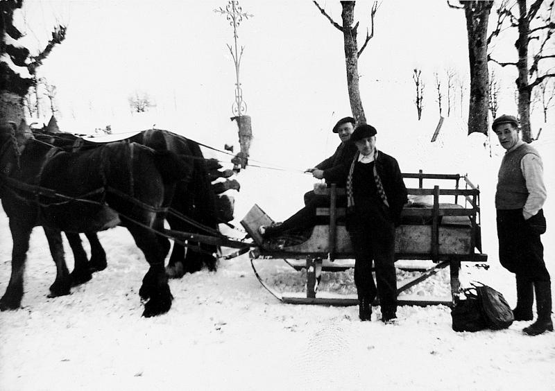 Homme sur traîneau (lisa) tiré par une paire d'équidés (coble) dans la neige (nèu), à Mouillhac, vers 1945