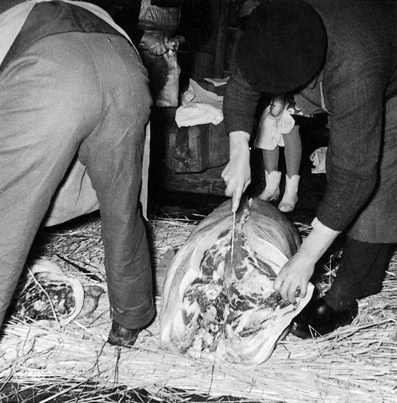 ​Abattage (masèl) du cochon (pòrc, tesson) : dépeçage sur lit de paille, au Puech, 30 décembre 1961