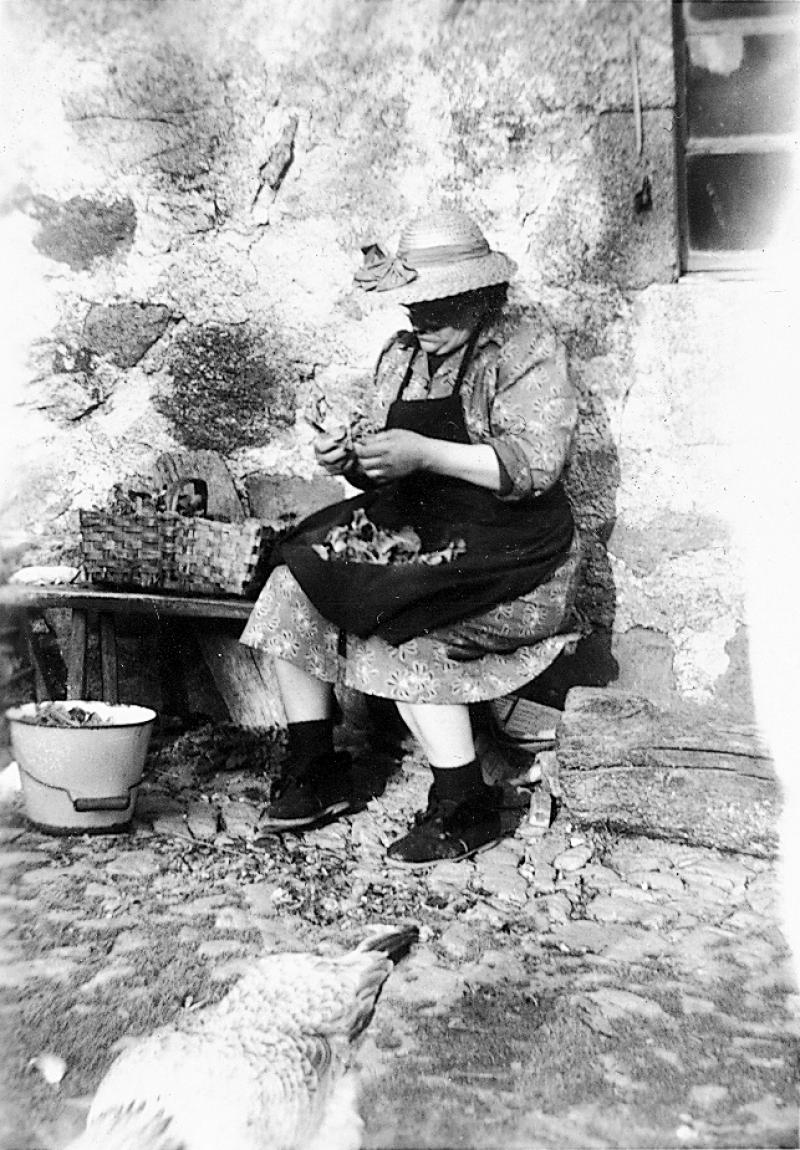 Femme triant des champignons (mossarons) assise sur un banc, à Crozillac, années 1960