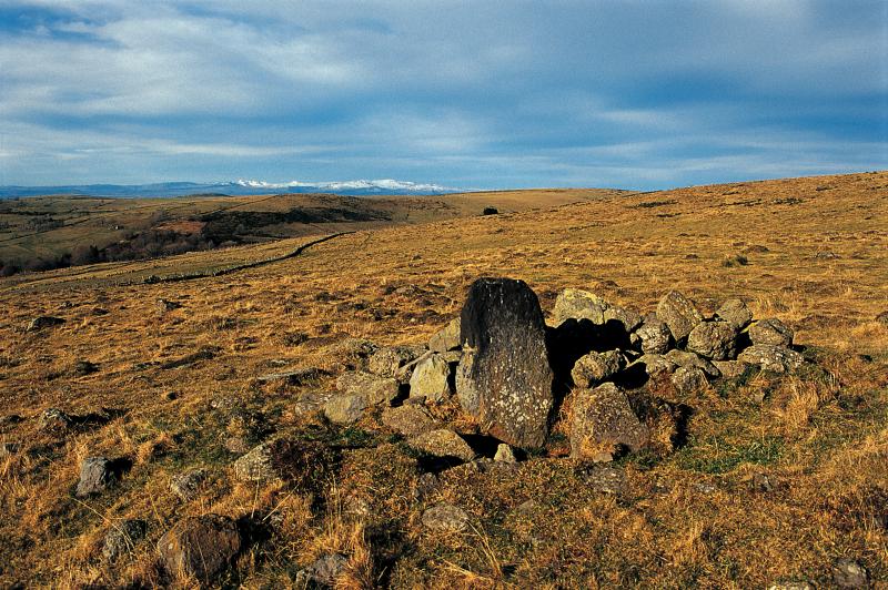  Basalte (pèira negra, ròcferral) et sommets (trucas) enneigés d'Aubrac (secteur de Laguiole), novembre 2000