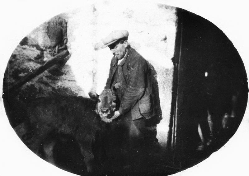 Homme avec veau (vedèl) devant porte d'étable, à Missou