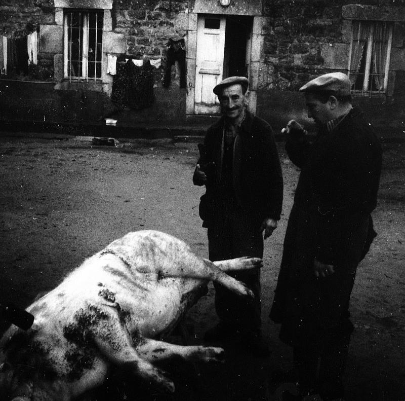 Abattage (masèl) du cochon (pòrc, tesson) : temps de pause (beguda) durant le brûlage (rufar) des soies (sedas) au chalumeau, à Monchausson, vers 1980