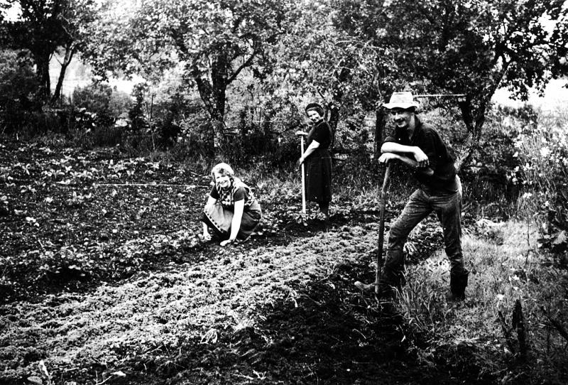 Deux femmes et un homme travaillant le jardin (òrt), aux Cazelles, 1961
