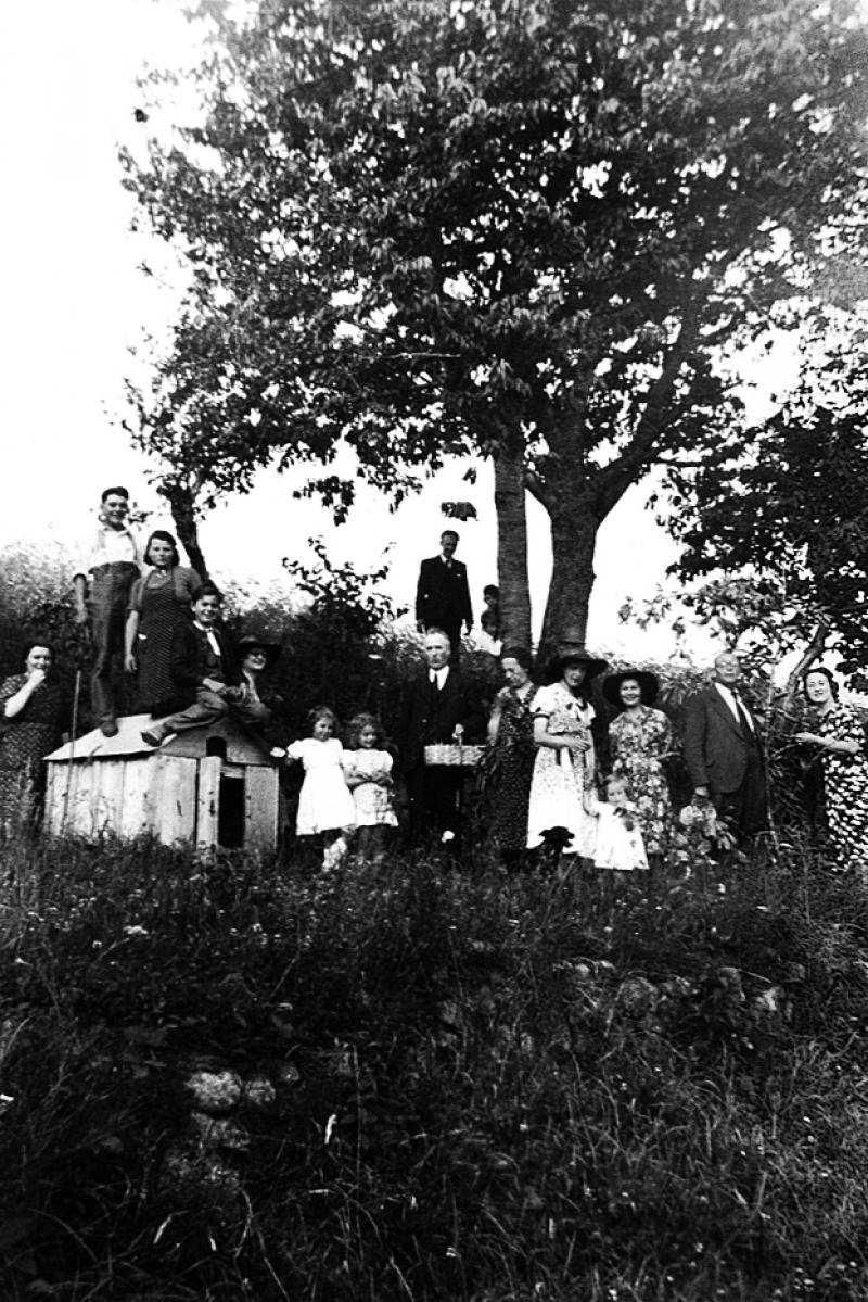  Famille autour d'un poulailler (galinièr, polalhièr) mobile, récolte des cerises (cerèias, cerièsas), à La Pradalie