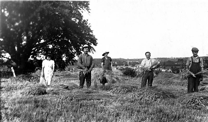 Temps de pause durant liage des javelles (gavèlas), 1939