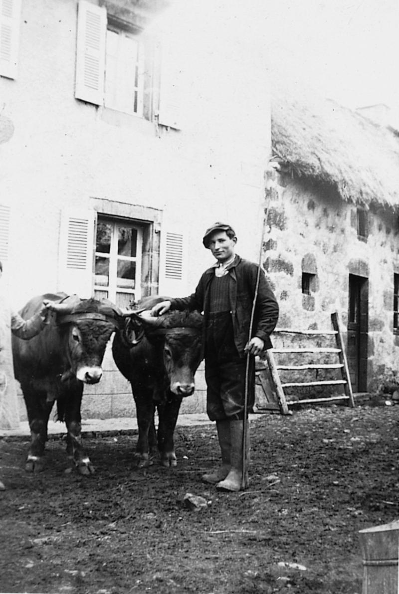 Homme devant paire de bovidés (parelh) dans cour de ferme et toit en chaume (clujada), à Vines, 1938