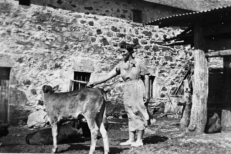Femme et veaux (vedèls) devant une étable, 1939