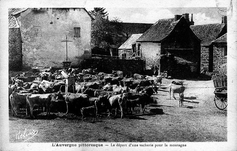 L'Auvergne pittoresque - Le départ d'une vacherie pour la montagne