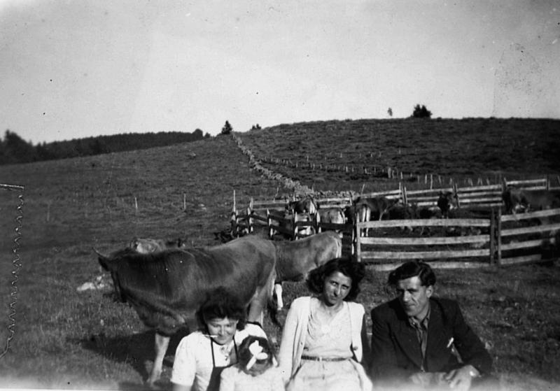 Personnes devant troupeau de bovidés (vacada) en estive et parc de claies (pargue), 1944