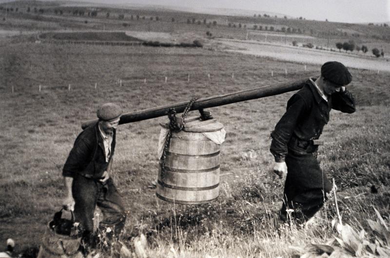 Transport à dos d'homme de la gerle (gèrla), montagne de La Pounchoune (?), 1954