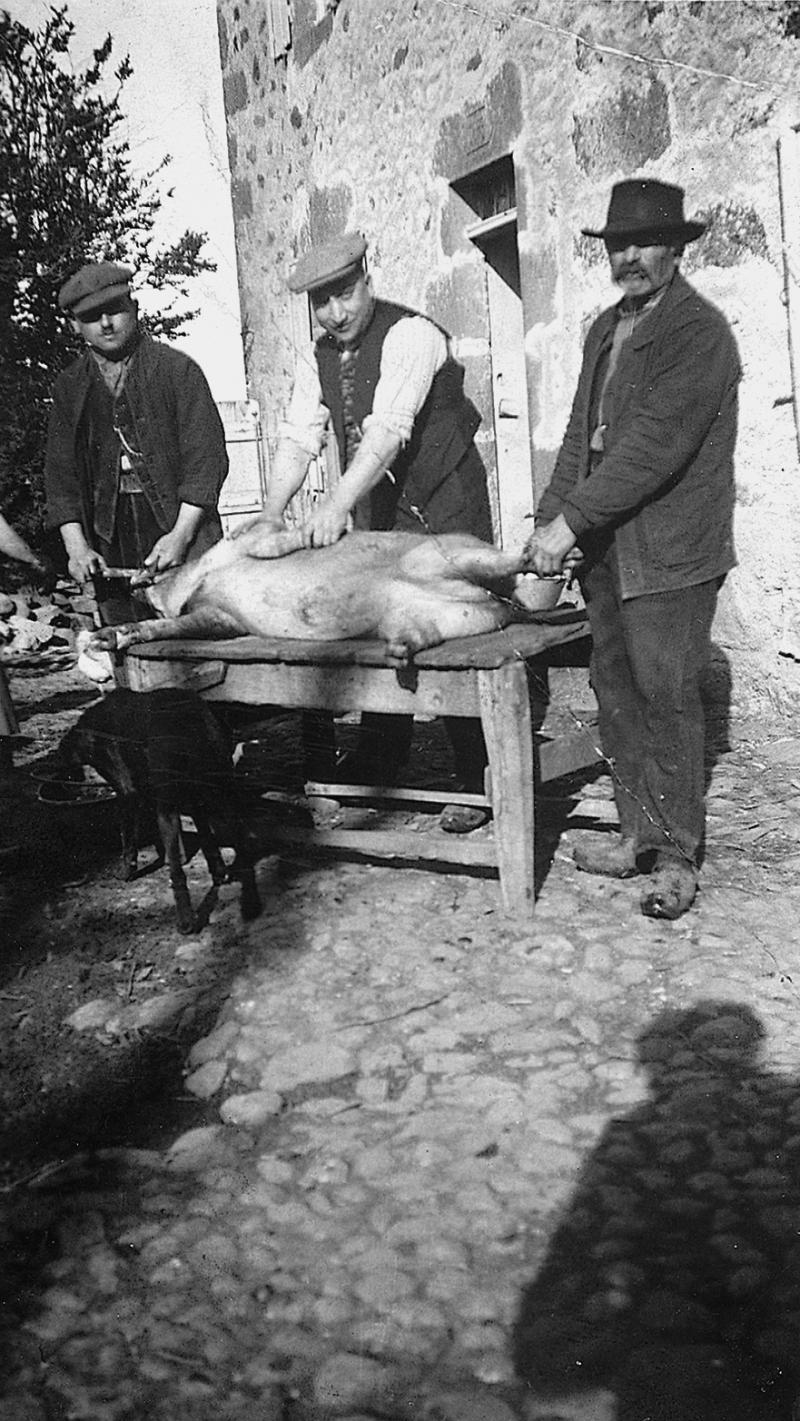 Abattage (masèl) du cochon (pòrc, tesson) sur une table (taula), à Baldour, 1937