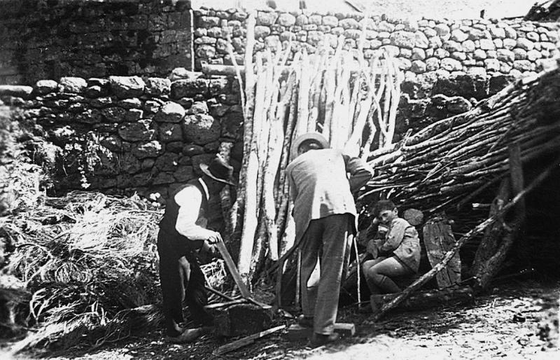 Confection de bois de chauffage (lenha), à Vines, 1938