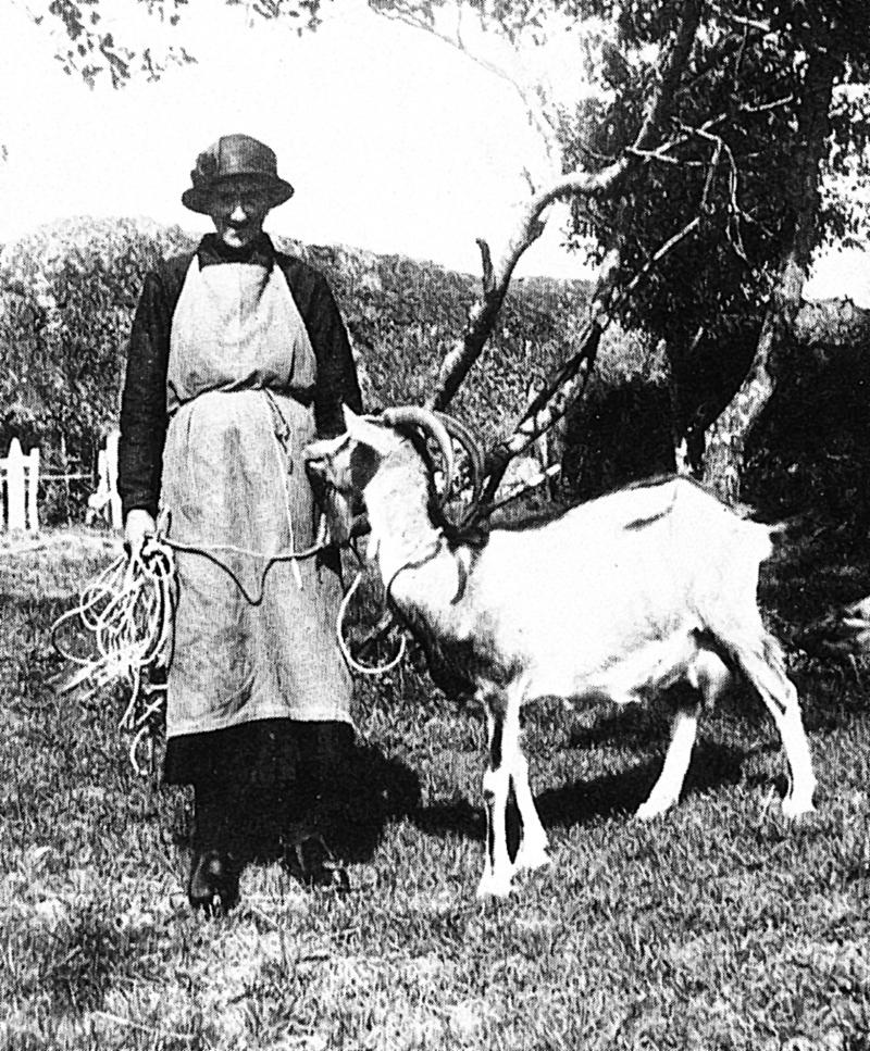 Femme avec une chèvre (cabra), à Murols Soubeyre