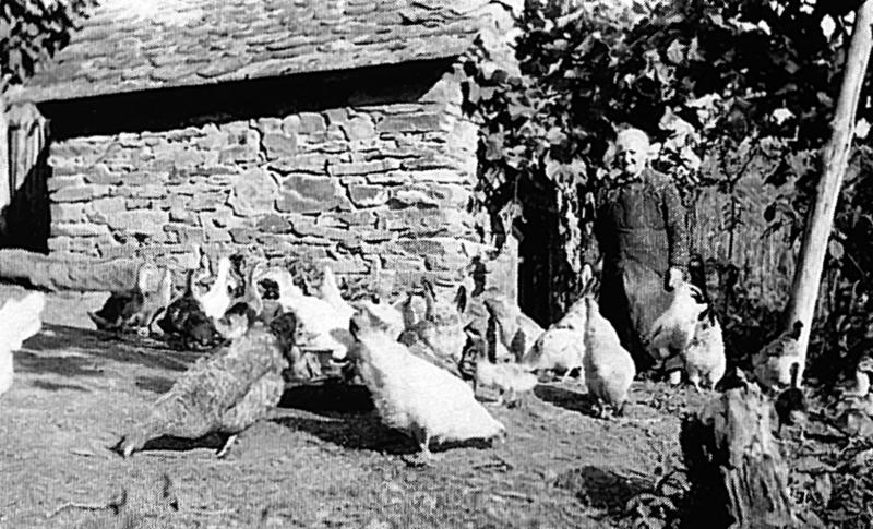 Femme, canards (guits, rits) et poules (galinas, polas), 1955