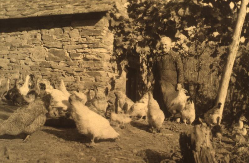 Femme, canards (guits, rits) et poules (galinas, polas), 1955