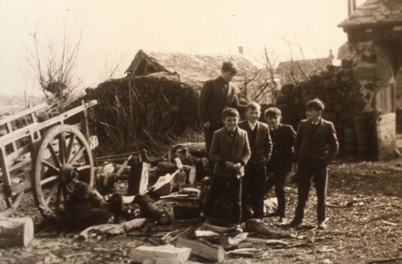 Enfants, char (carri) et chantier de bois de chauffage (lenha), à Ladignac