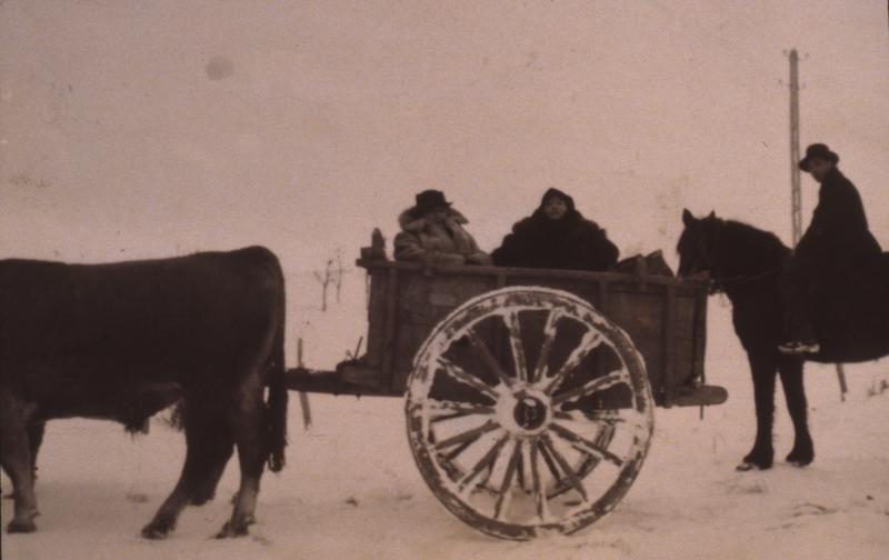  Transport (carreg) de deux personnes sur un char (carri) avec paire de bovidés (parelh) et homme sur équidé dans la neige (nèu), à Bonnefon, 1929