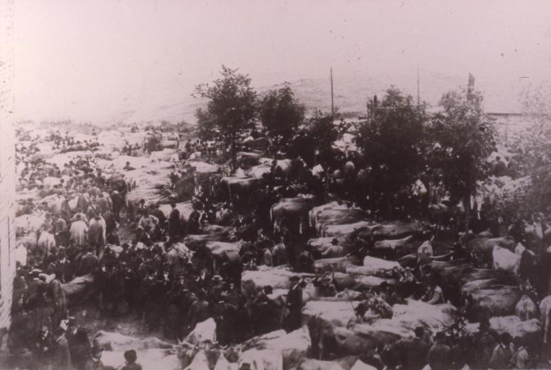 Foule sur le foirail (fièiral) des bovidés un jour de foire (fièira), 3 octobre 1904