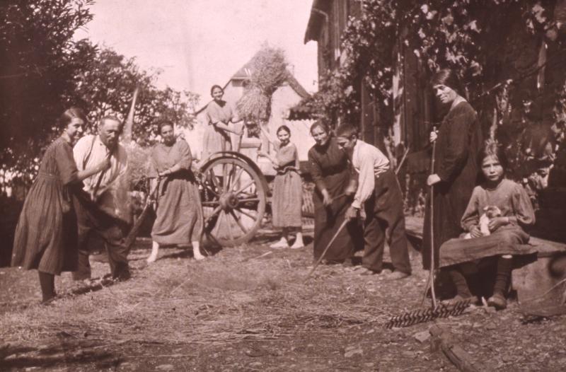 Dépiquage (escodre) manuel au fléau (flagèl), à Salgues, 1918