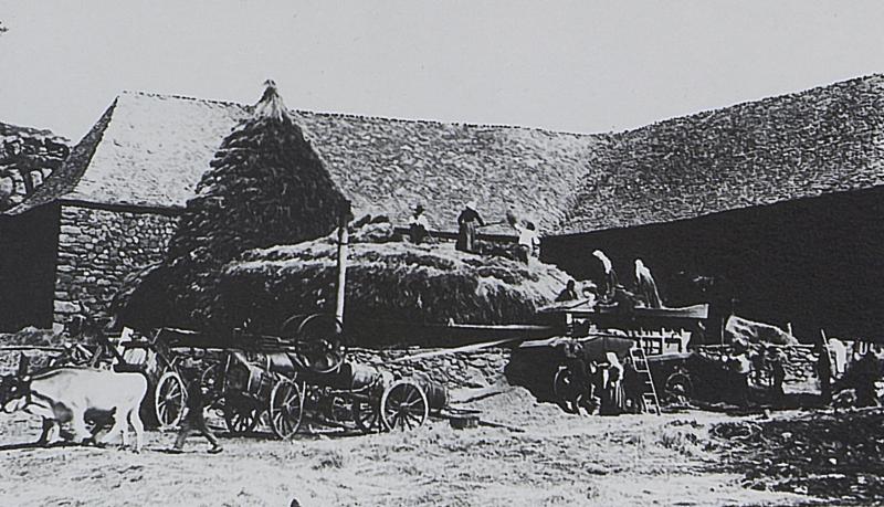 Dépiquage (escodre) mécanisé à la batteuse (batusa) actionnée par une locomobile (caufusa) et paire de bovidés (parelh), à Bonnefon, vers 1910