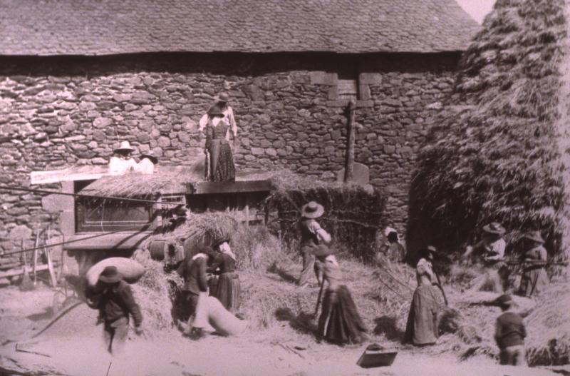 Dépiquage (escodre) mécanisé à la batteuse (batusa) et ensachage du grain, à Bonnefon, vers 1910