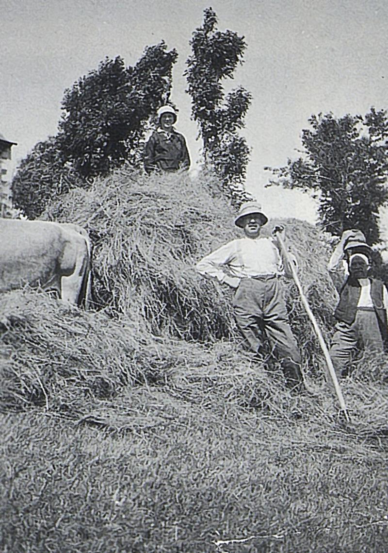 Temps de pause durant chargement manuel du foin, paire de bovidés (parelh), à Greffeuille, 1930-1935