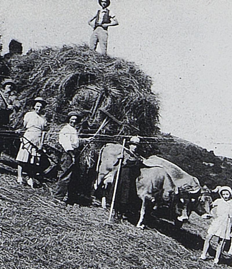 Temps de pause durant chargement manuel du foin sur char-cage ou à claies (carri de cledas), paire de bovidés (parelh), à Renjard, 1940