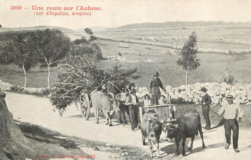 369 - Une route sur l’Aubrac. (Arrt d’Espalion,Aveyron)