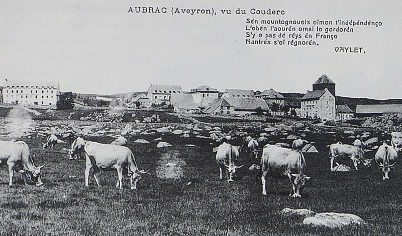AUBRAC (Aveyron), vu du Couderc