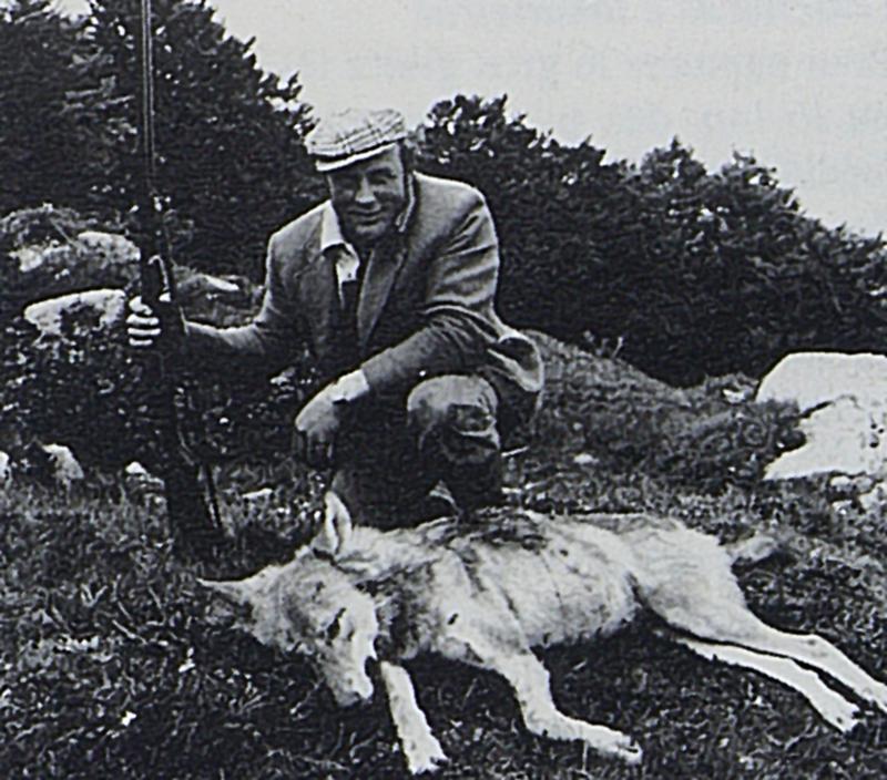 Chasseur (caçaire) posant devant un loup (lop) mort, aux Salces, commune de Recoules d'Aubrac (48), 20 juin 1977