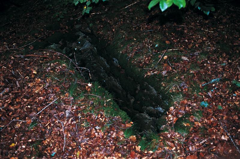 Fosse (laucièira) pour piéger les loups (lops), en Aubrac (secteur de Saint-Chély d'Aubrac), octobre 1997
