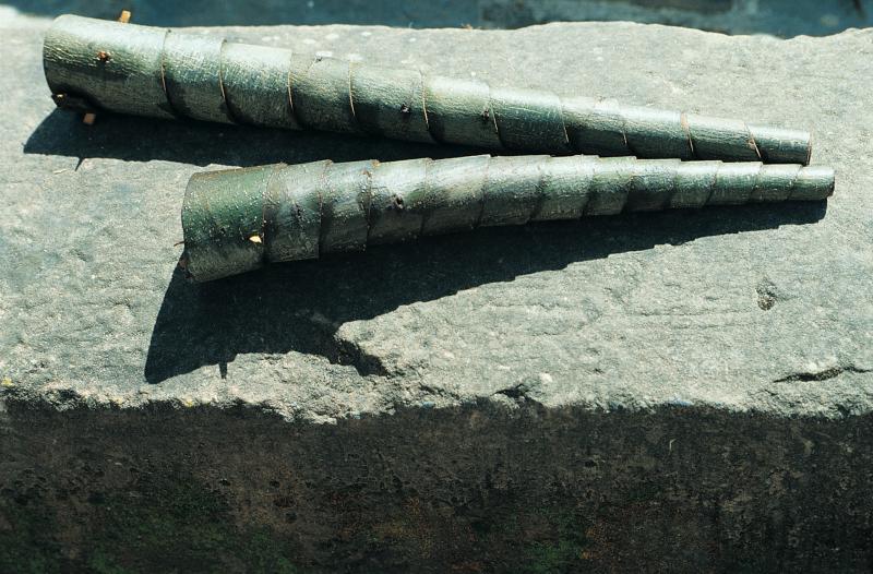  Aérophones, trompes ou cornes (còrnas) réalisés en écorce de châtaignier, mai 1993