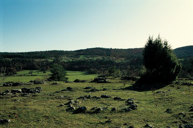 Cercle de pierres sur le causse de Sévérac, près des Cazes, novembre 1992