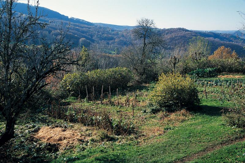Jardin (òrt) en automne, secteur d'Espalion, novembre 1993