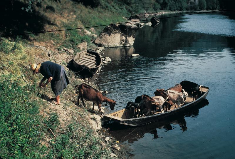 Femme désamarrant une barque (barca) chargée de caprinés (cabras), au Code, 1988