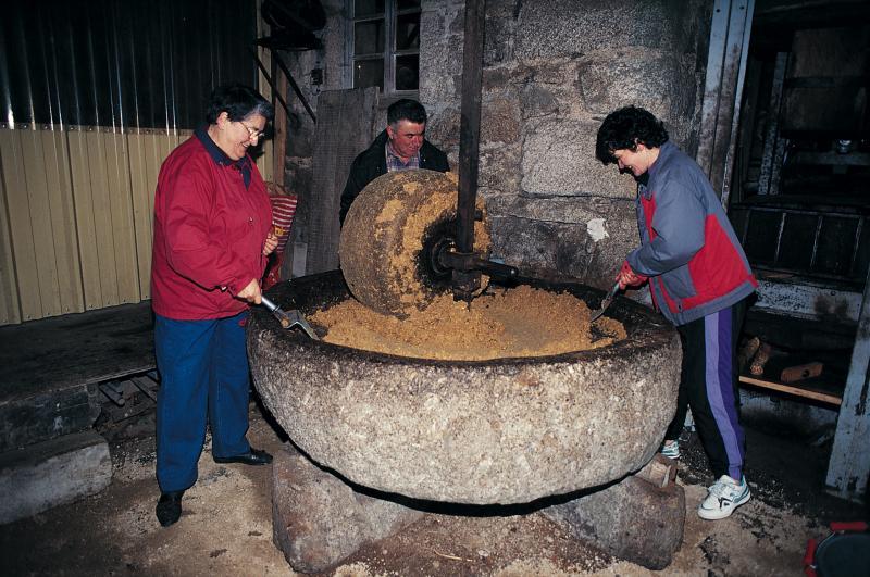 Femmes et homme écrasant des cerneaux (nogalhs) de noix (noses, rasclas, rascalons) avec un moulin à meule verticale (ase, pilon, vertelh, vertuelh)