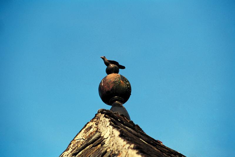 Epi de faîtage en terre cuite vernissée avec représentation d'un oiseau, juillet 1994