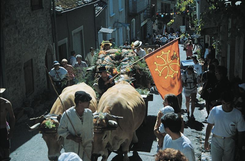 Promenade de fouaces géantes décorées (passejada de la fogassa) sur un char (carri) attelé à une paire de bovidés (parelh) durant la fête votive (fèsta, vòta), août 1989