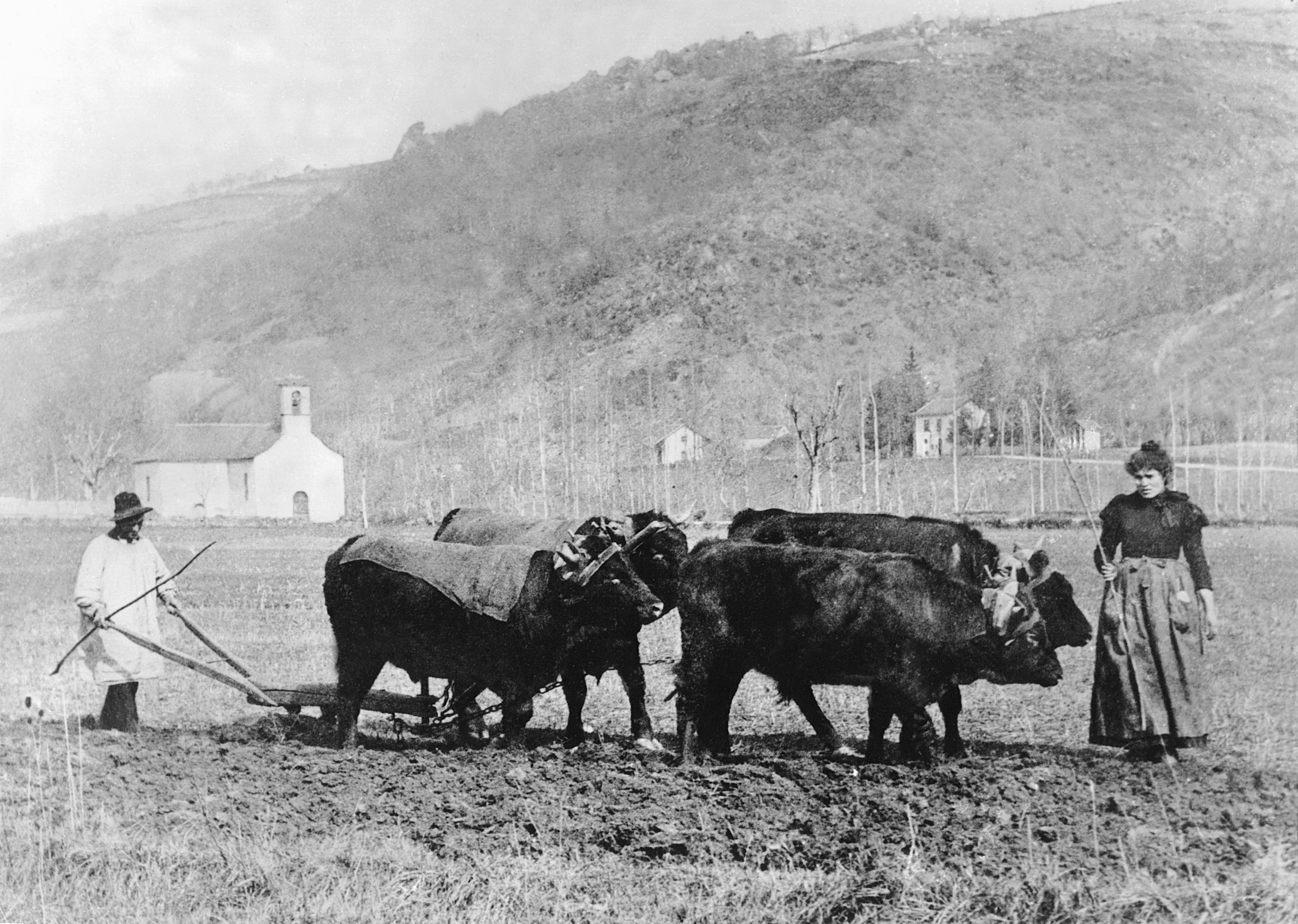  Labour (laur) avec une charrue Dombasle et deux paires de bovidés (parelhs, prodèl) devant une chapelle (capèla) et une gare (gara), 1897