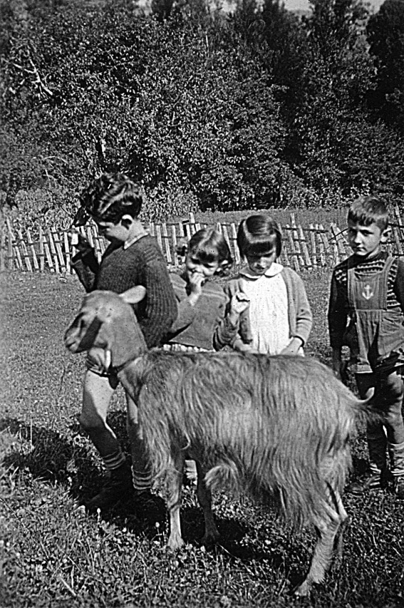 Quatre enfants avec une chèvre (cabra), à Cantagrel, vers 1954