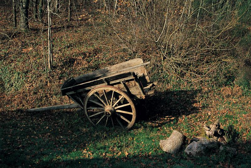 Char (carri) avec ridelles (cledisses) ou tombereau (carruga, tombarèl) et bois de chauffage (lenha), en Ségala (secteur de Naucelle), décembre 1992
