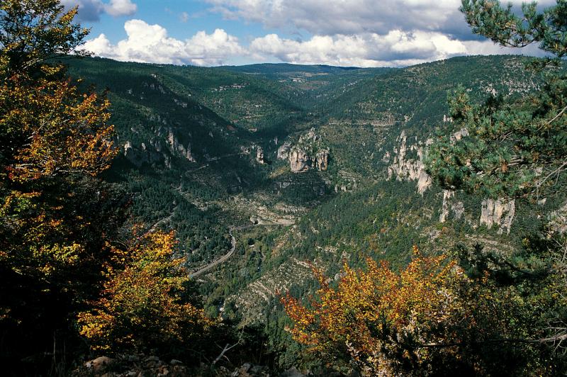  Vue de la vallée de la Jonte (Jònte), entre Rouergue (Roergue) et Gévaudan (Gavaldan), octobre 1998