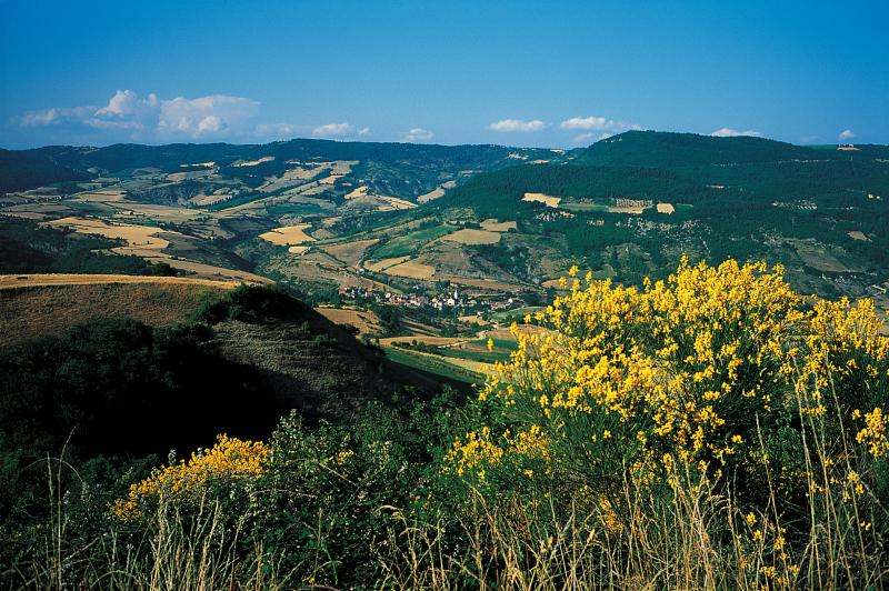  Vue générale du Bourg et genêt (ginèst) en fleurs, juillet 1999