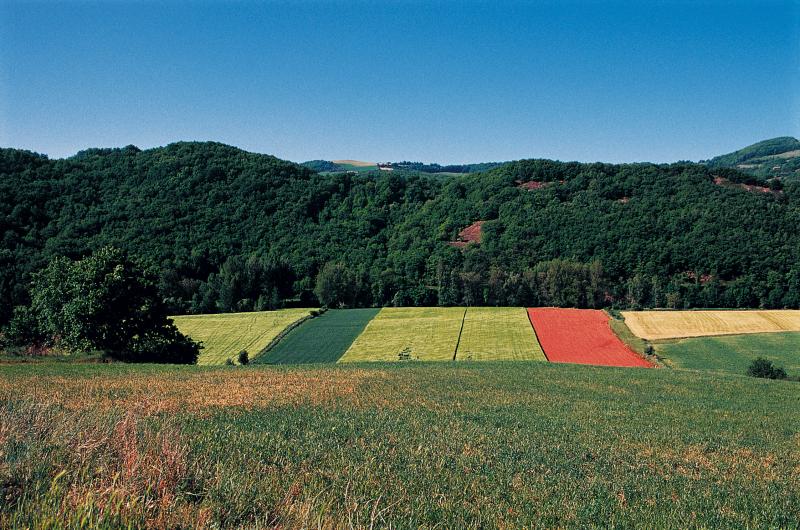  Prairie (prada, prat), champs cultivés dans une plaine (ribièira) et collines boisées, mai 2002